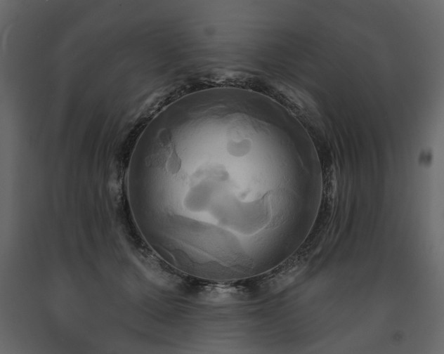 X0000091640607200708231200
