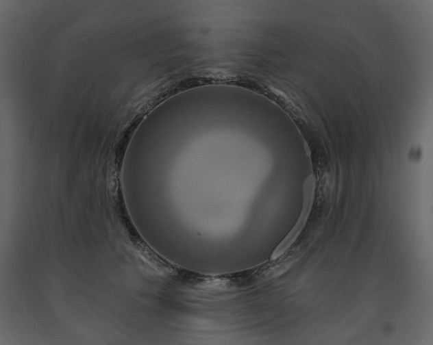 X0000091640609200708231200