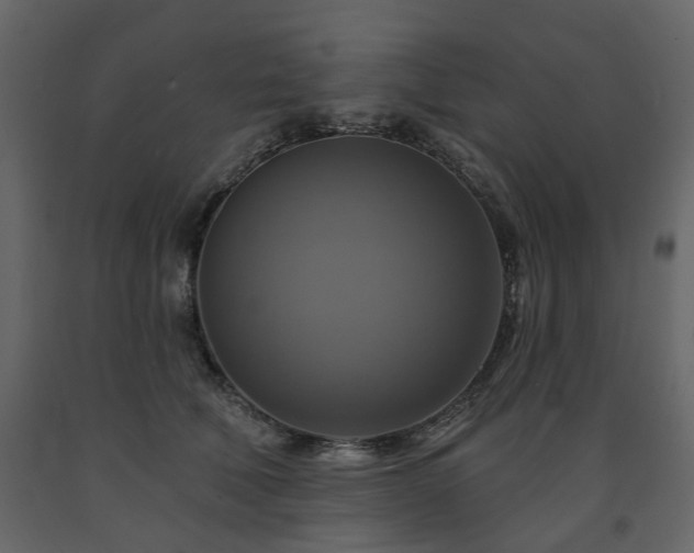 X0000091640610200708231200