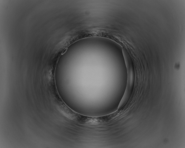X0000091640611200708231200