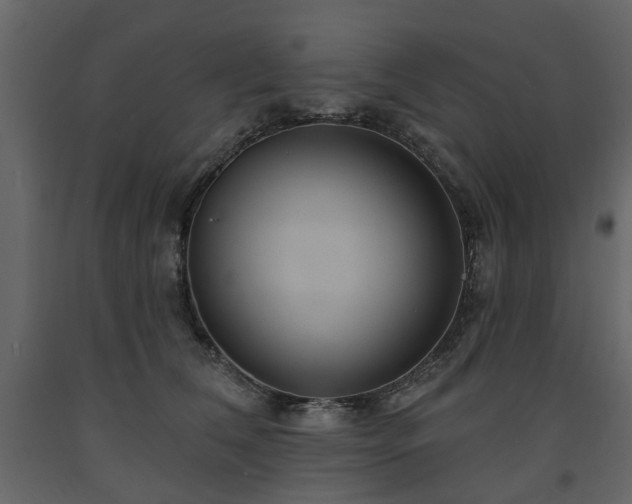 X0000091640612200708231200