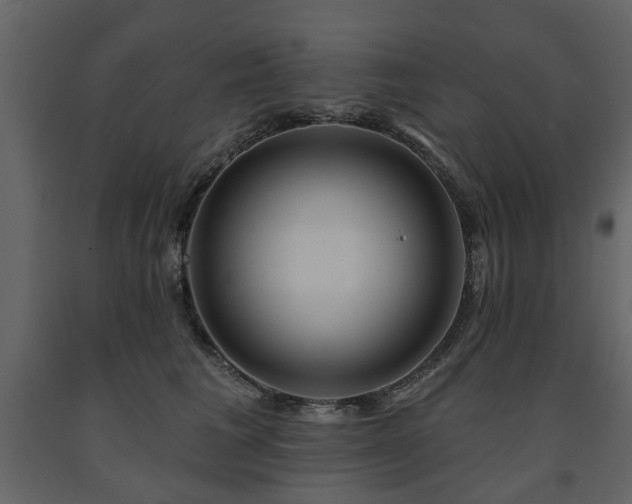 X0000091640613200708231200