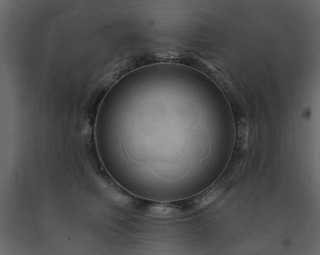 X0000091640614200708231200