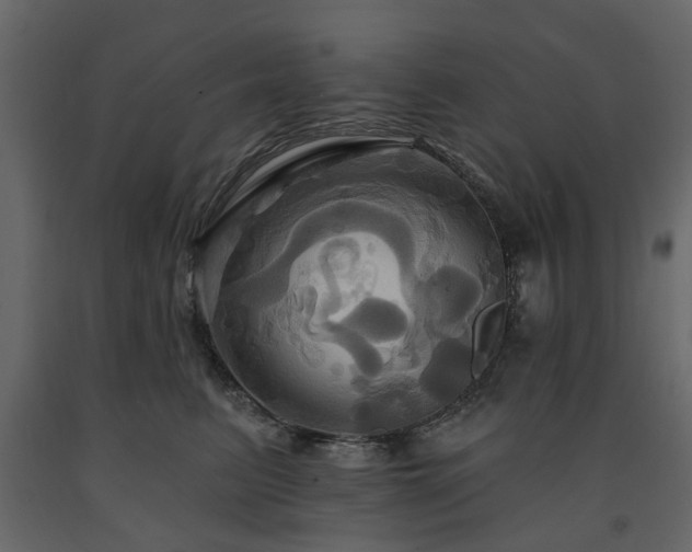 X0000091640615200708231200