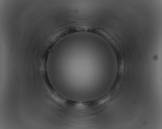 X0000091640616200708231200