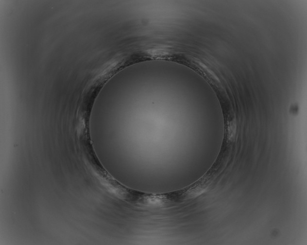 X0000091640618200708231200