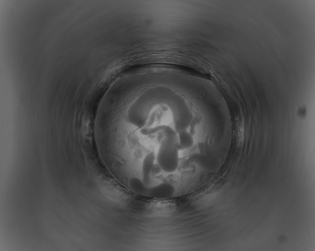 X0000091640619200708231200