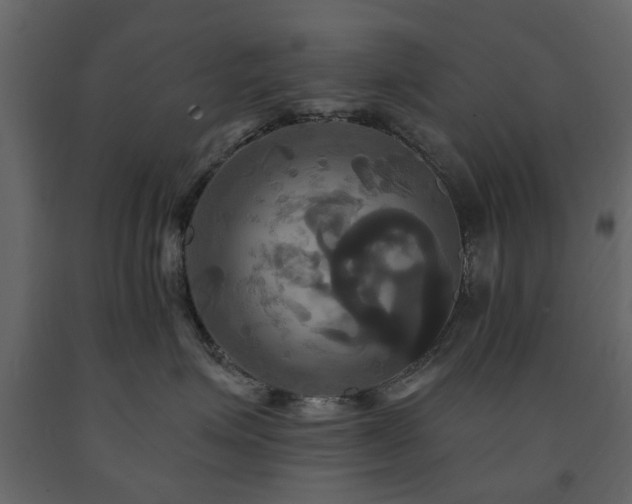 X0000091640623200708231200