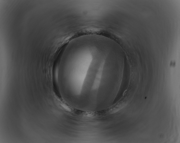 X0000091640624200708231200