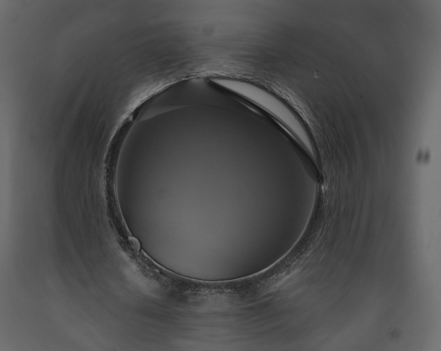 X0000091640626200708231159