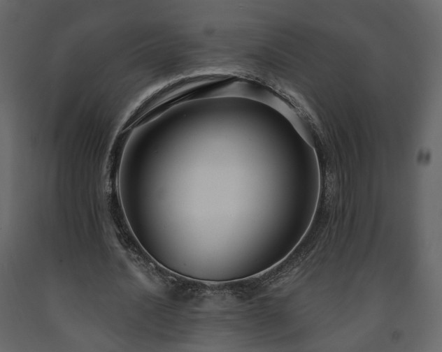 X0000091640628200708231159