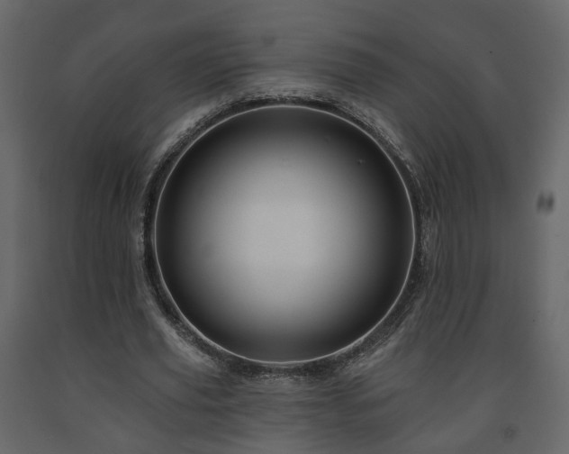 X0000091640629200708231159