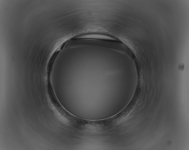 X0000091640630200708231159