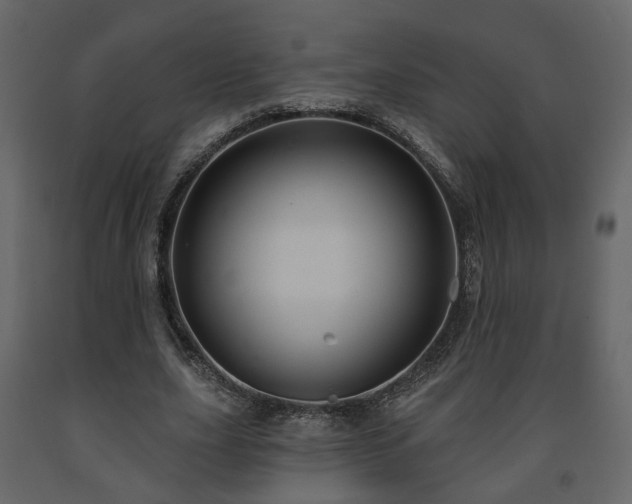 X0000091640631200708231159