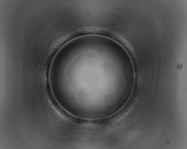 X0000091640633200708231159