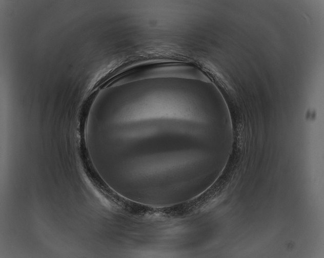 X0000091640634200708231159