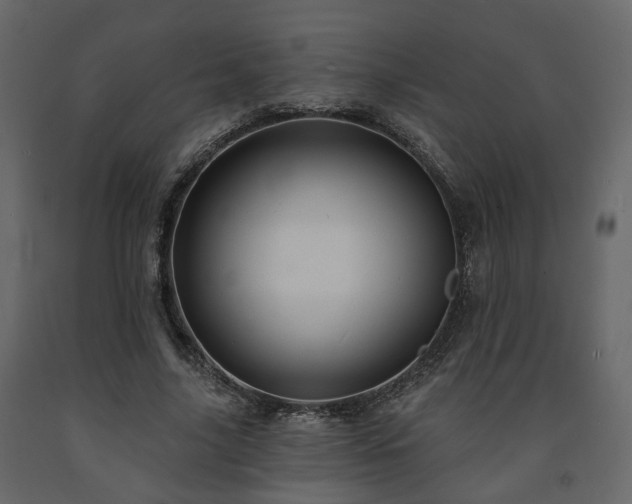 X0000091640635200708231159