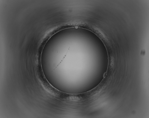 X0000091640636200708231159