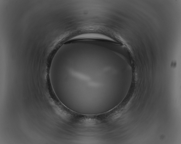 X0000091640637200708231159
