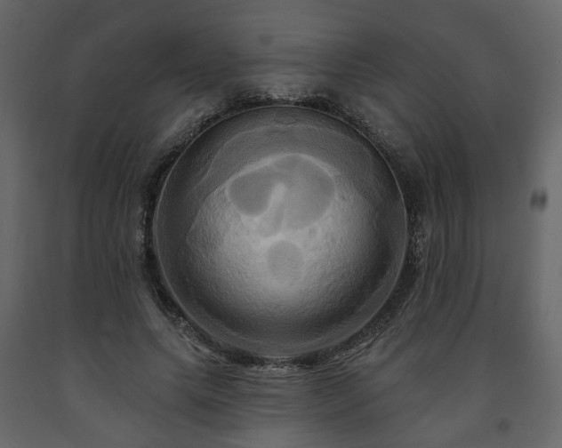 X0000091640639200708231159