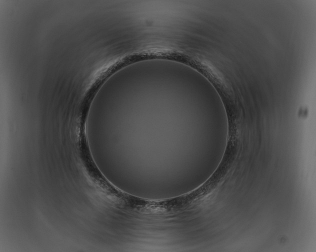 X0000091640640200708231159
