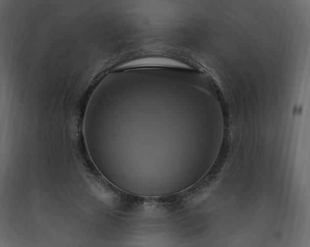 X0000091640641200708231159