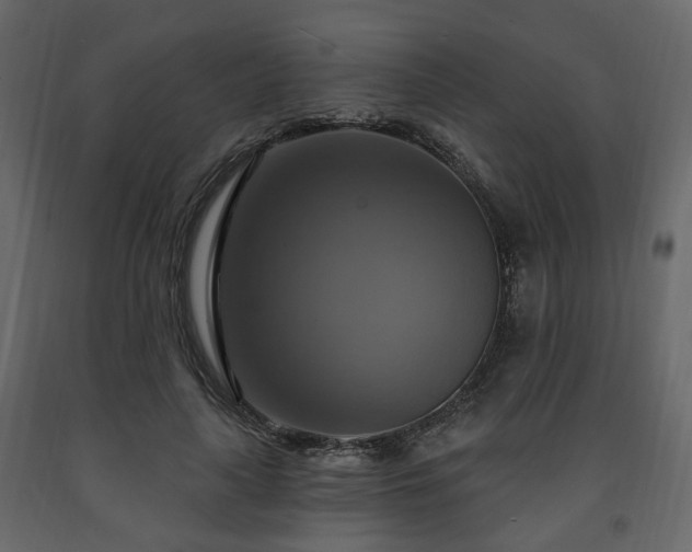 X0000091640643200708231159