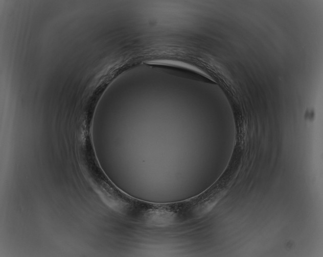 X0000091640644200708231159