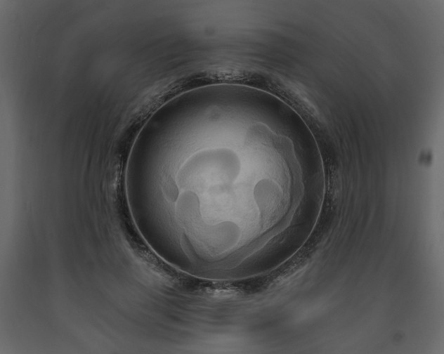 X0000091640645200708231159