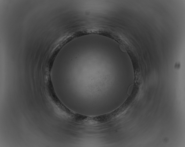 X0000091640648200708231159