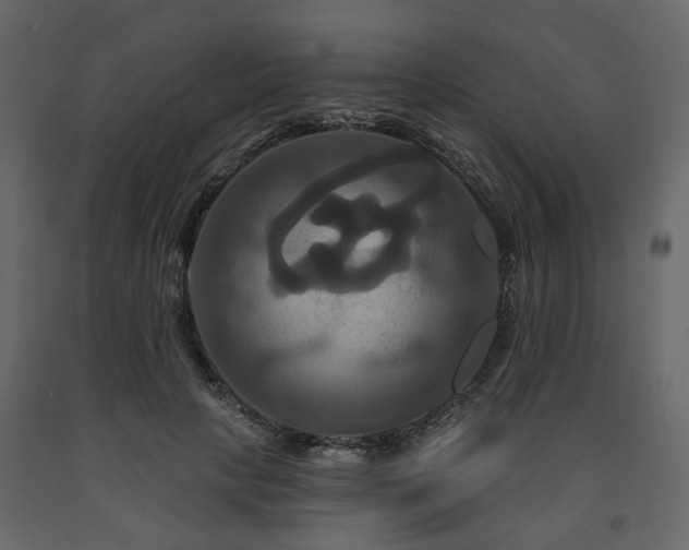 X0000091640649200708231159
