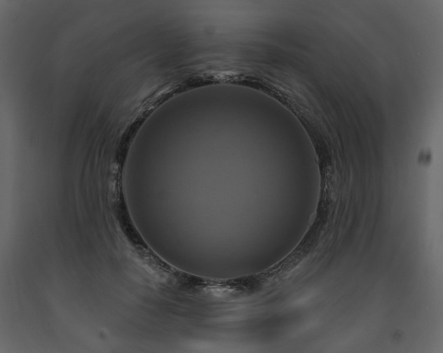 X0000091640650200708231159
