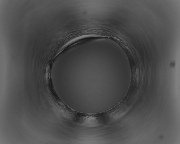 X0000091640651200708231159