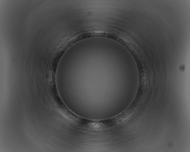 X0000091640654200708231159