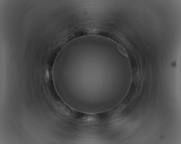 X0000091640655200708231159