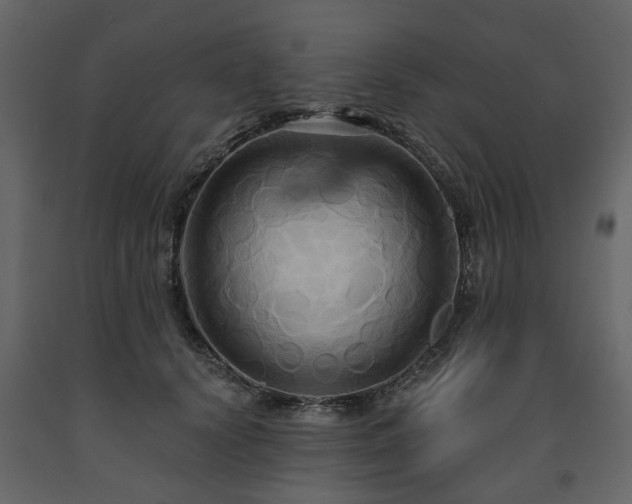 X0000091640656200708231159