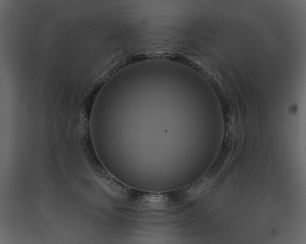 X0000091640659200708231159