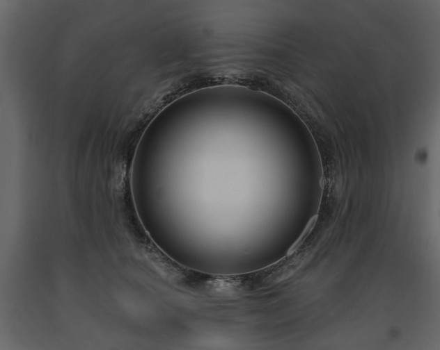 X0000091640660200708231159
