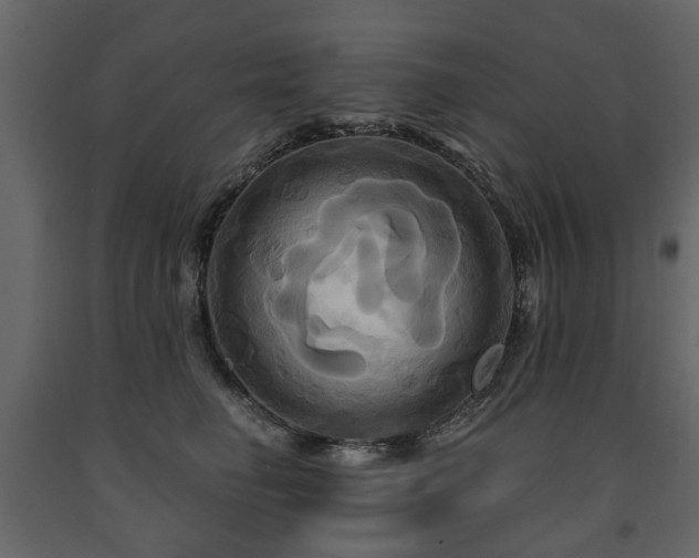 X0000091640662200708231159