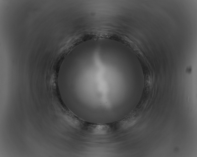 X0000091640663200708231200
