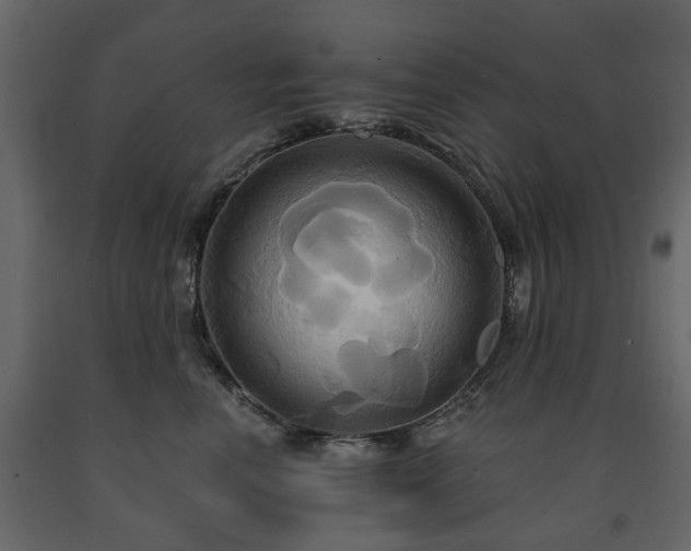 X0000091640666200708231200