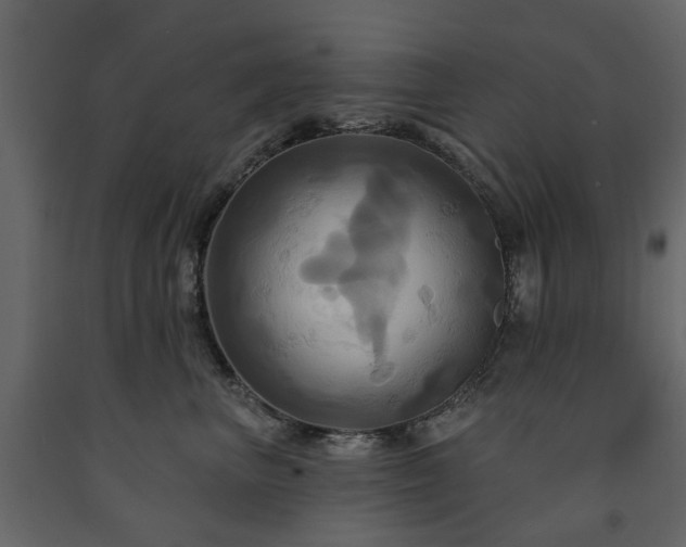 X0000091640667200708231200