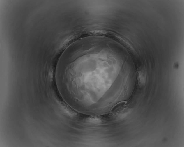 X0000091640668200708231200