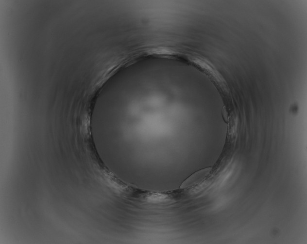 X0000091640669200708231200