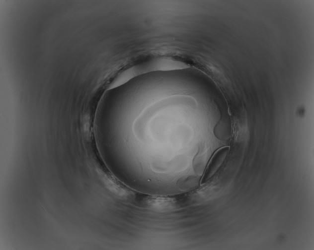 X0000091640670200708231200