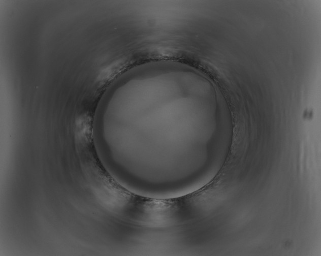 X0000091640672200708231200