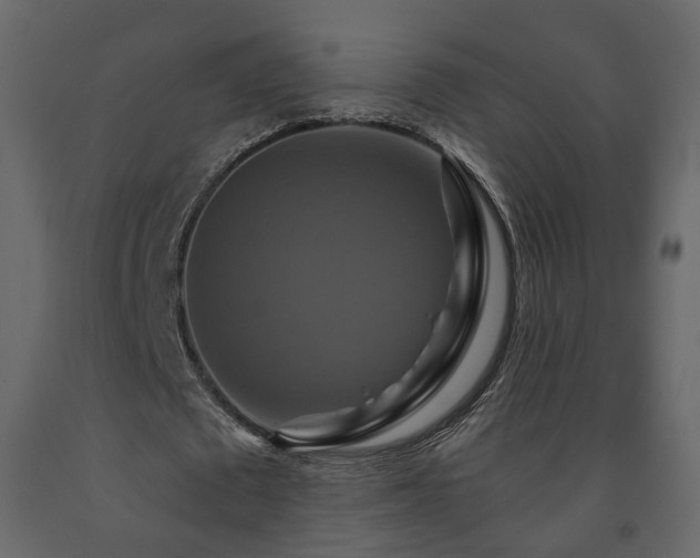 X0000091640673200708231159