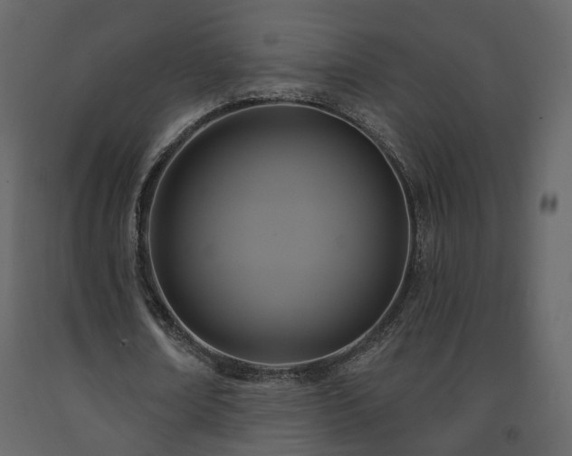 X0000091640674200708231159