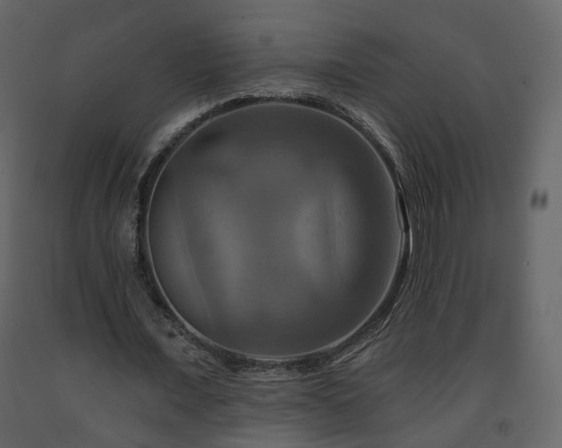 X0000091640675200708231159