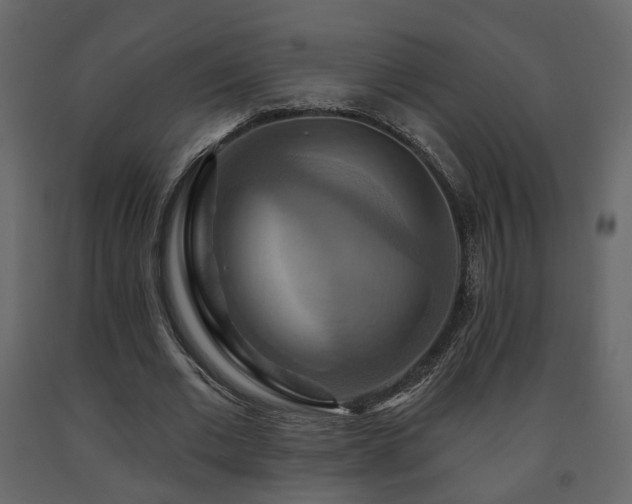 X0000091640677200708231159